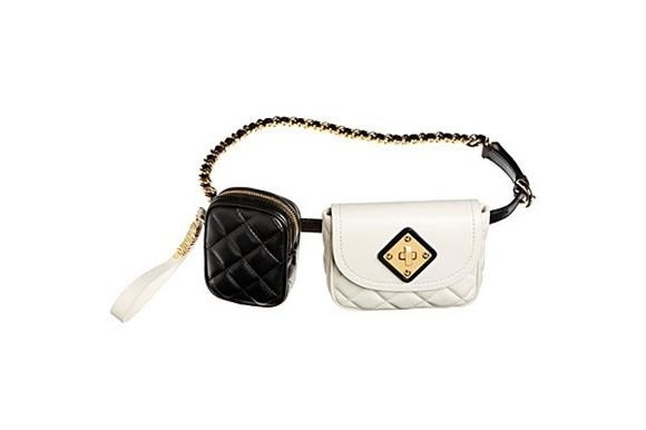 lady's bag